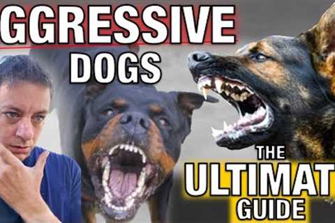 How To Stop Dog Aggression for Everyday People: The Ultimate Guide