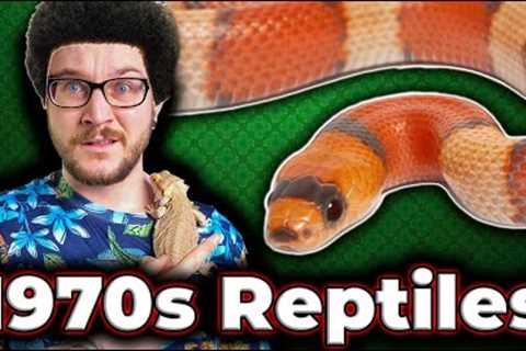Top 5 1970s Reptiles You NEVER See Anymore! Where Are They Now?