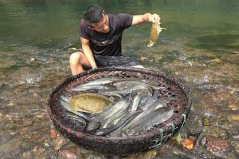 Primitive Skills : Video Survival Skills. Build Traps To Catch A Lot Of Fish, Life In The Forest