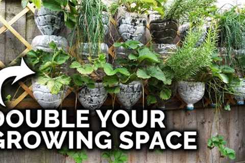 5 Ways to Grow More in Less Space