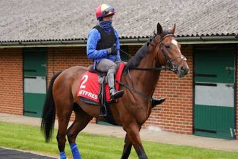 Epsom Gallops Morning: clues ahead of the 2023 Betfred Derby | Racing TV
