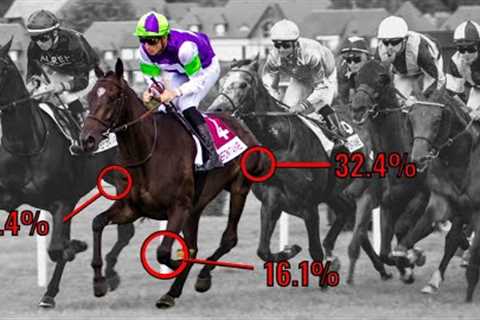 Best Horse Racing Statistics Website For Picking Winners