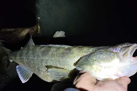 Lake Erie walleye shore fishing report