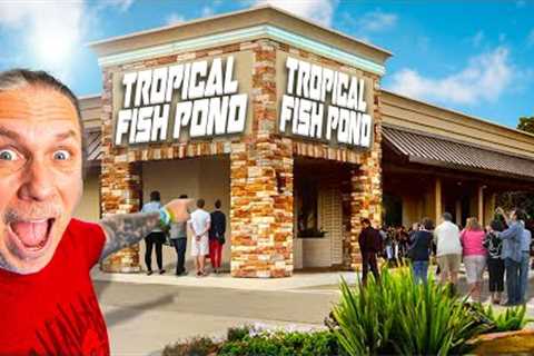 The Most Famous Reptile Pet Shop