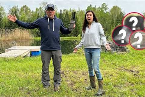 We Can't BELIEVE What We FOUND Living at Our OFF GRID FARM in the WOODS