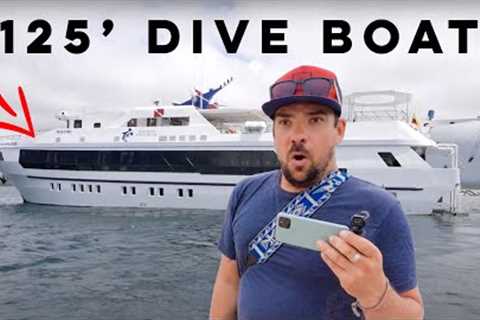 Moving onto a LIVE-ABOARD DIVE BOAT in GALAPAGOS! [Part 3]
