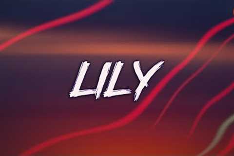 Lily - Alan Walker (Lyrics) | Selena Gomez, Marshmello, David Guetta,... (MIX LYRICS)