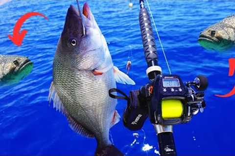 The cheapest Electric Deep Drop Reel {catch and cook]