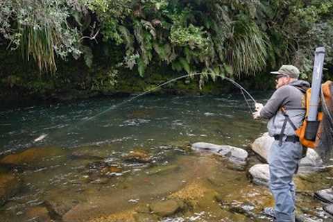 This Is The BEST way to FLY FISH |  Big Trout Eating Giant Streamers