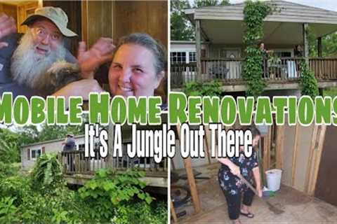It's a Jungle out there.  Mobile Home Renovations / Mobile Home Living