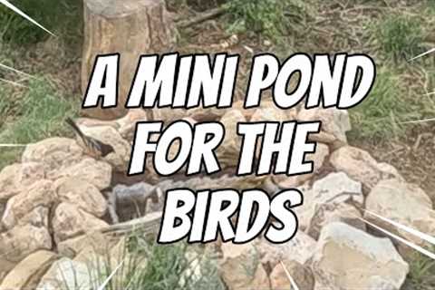 DIY Bird Pond | Spring Projects