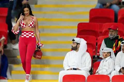 Best and Funniest Moments of Fans in Sports