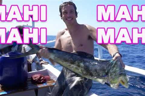 this fish was MUCH BIGGER than i thought (spearfishing catch &amp; cook)