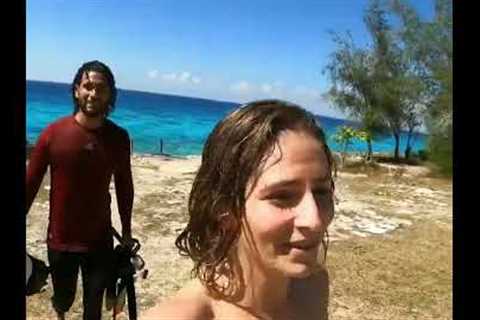 Dive into Adventure: Exploring the Underwater Wonders with Julio Diving Cuba 🌊🤿