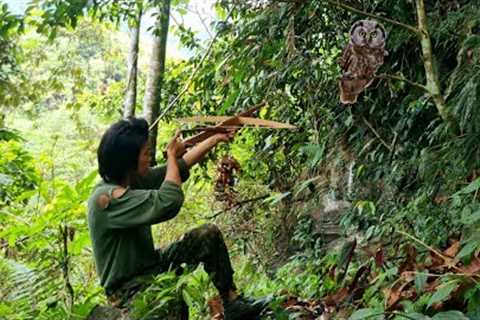 Survival skills, saving baby birds, catching stone crabs for cooking, survival in the forest