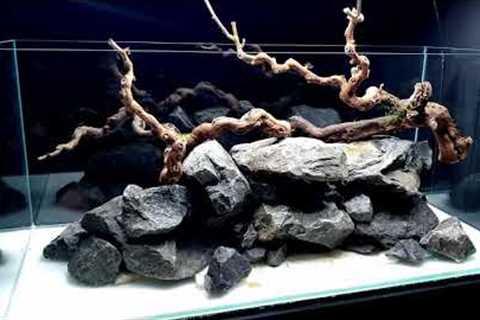 Aquascape Tutorial: 360° River Aquarium / Paludarium / Aqua Terrarium || MD FISH TANKS