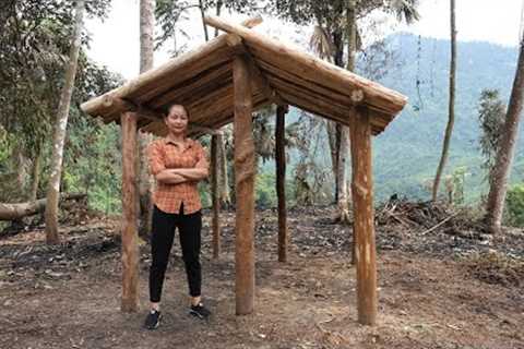Alone In The Forest Building A Log Cabin | Migrate and Build a new life here
