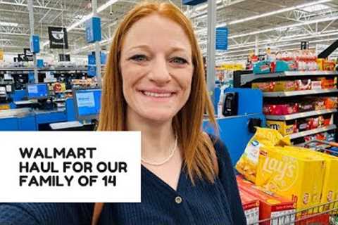 WALMART HAUL FOR OUR FAMILY OF 14