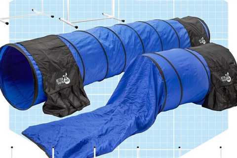 Here are 8 ideas for a dog agility course