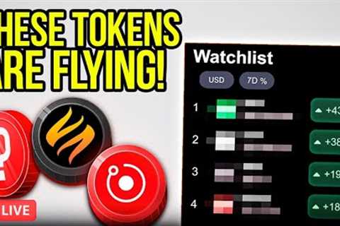 Altcoins I'm Buying BEFORE IT'S TOO LATE!