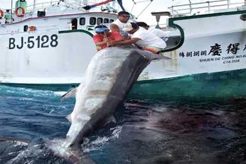 Most Satisfying Longline Fishing Swordfish Skill - Big Catch Tuna Or Marlin Strongest on The Sea
