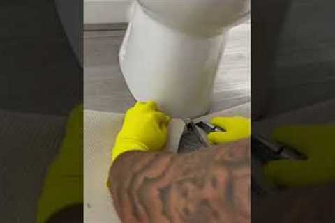 CUT CARPET AROUND A TOILET LIKE A PRO! #carpet #flooring #homeimprovement #diy #shorts