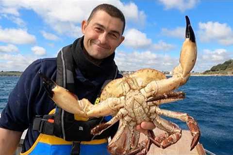 Fresh Seafood - BIG Crab Catch, Clean and Cook - Roasted Red Pepper Crab Cakes | The Fish Locker