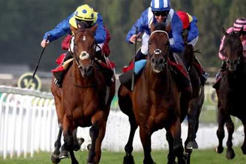 😲 Desert Crown is beaten on his return as Hukum wins thrilling Brigadier Gerard battle!