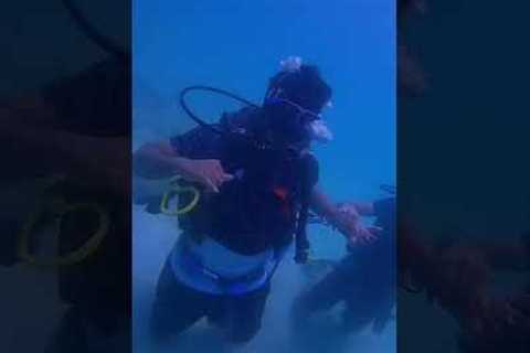 Scuba diving in Dubai very cheap rate