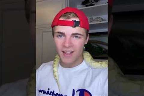 GETTING BIT AND STUNG BY MY EXOTIC PETS?! #shorts