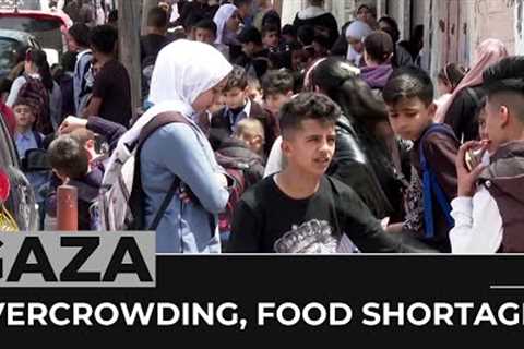 Gaza overcrowding: Loss of farmland is leading to food shortages