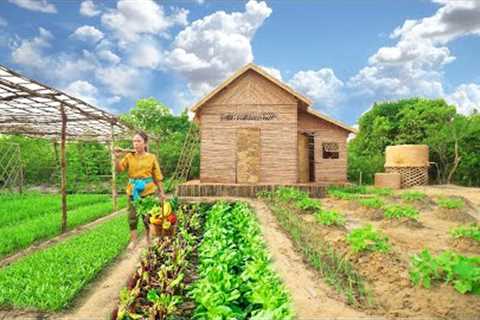 Survival Girl Camping Alone Think to Build Dream Home is Vegetable Garden House in Forest by Skills