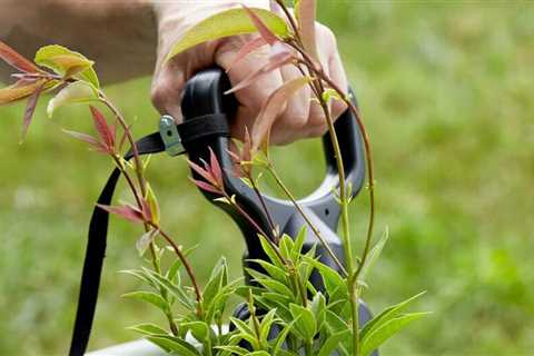 Sun Joe Chipper: Make light work of yard debris