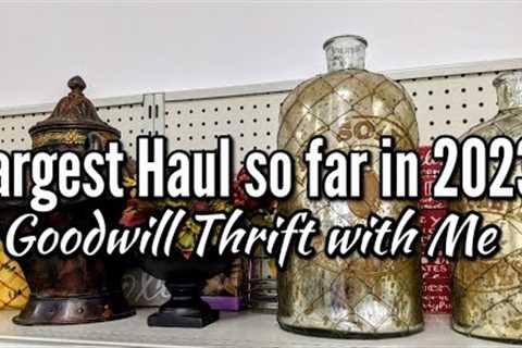 Goodwill Thrift Shopping &amp; My Largest Thrift Haul so far in 2023 + My New Petcube Pet Camera