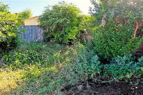 Lawn Mowing Man Transforms Young Couple's Neglected Yard | Plus Channel Update
