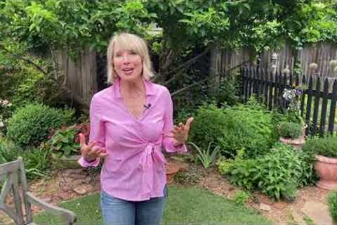 Garden Design Tips for Beginners
