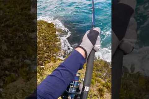 Giant Fish Nearly Pulls in Angler #shorts