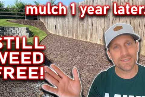 MULCH BEDS Are EASY to KEEP Weed &amp; Grass Free If You Follow These Simple Lawn &amp; Gardening..