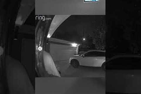 I Beg Your Pardon 😮 (Caught on Ring Doorbell)