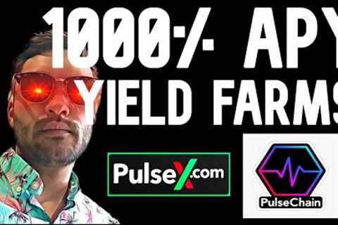 1000% APY Yield Farming On Pulsechain - Providing Liquidity On PulseX &amp; Impermanent Loss
