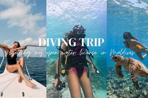 Getting my Scuba Diving License 🤍
