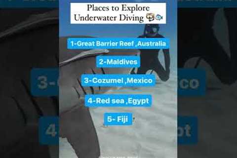 Unveiling the Hidden Beauty: Go Underwater Diving Now! | Luxury Vacations and Holidays