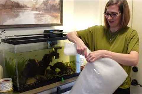 Fish Tank Maintenance | Aquarium Cleaning | Water Changes On My Fish Tanks