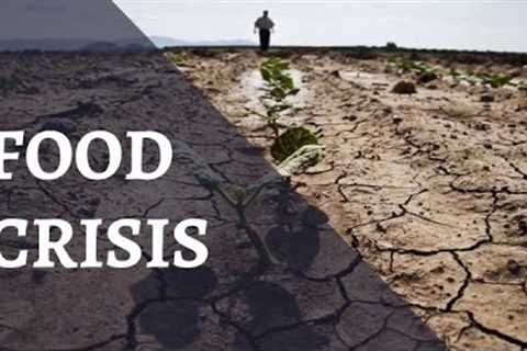 Global Food Crisis | Why is the World Hungrier Than Ever | YouBlog-Media
