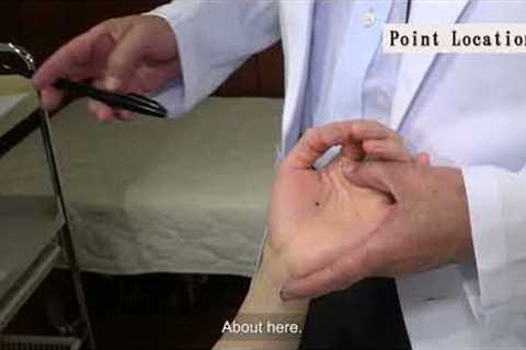 Traditional Japanese Medicine - Diagnosis and Treatment - (Highlight) by Masakazu Ikeda