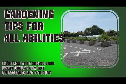 Growing Together: Gardening Tips for All Abilities