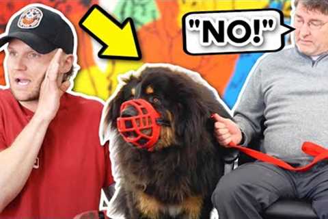 How to train the most AGGRESSIVE dogs in the world! Training dogs with a BITE history!