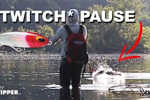 3 Beginner Lure Fishing Mistakes + How To Fix Them!