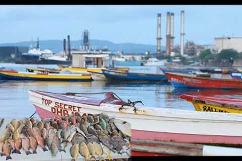fish fi days | live real tv | cooking | sleep |chatter |eeh sah- tek yuh time