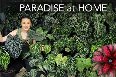 RESORT GARDEN 🌴 at HOME | DIY TROPICAL COSY BACKYARD  with 8 EASY Garden Design Tips